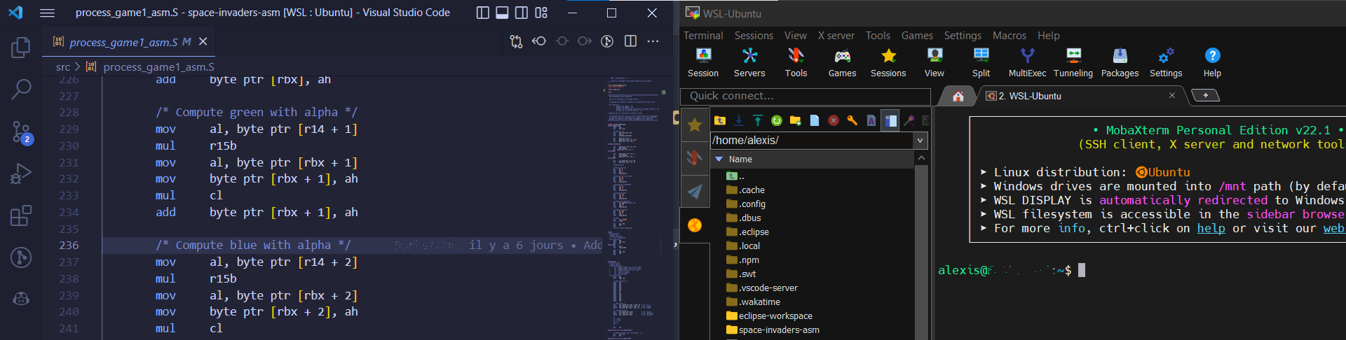 Low Level C and Assembly development environment with VSCode and WSL2